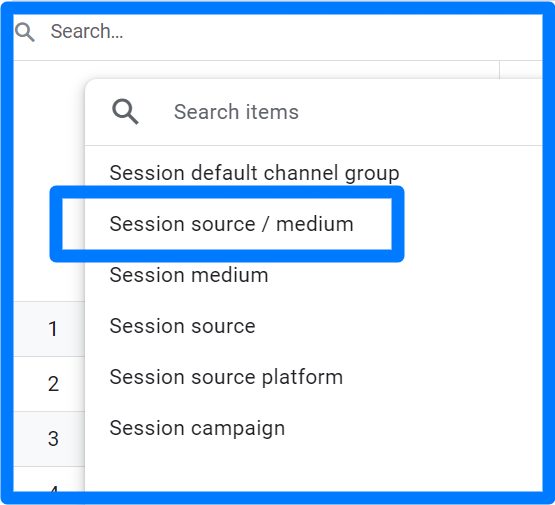 Session source / medium 